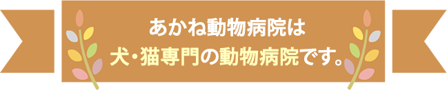 あかね動物病院は 犬・猫専門の動物病院です。