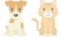 犬・猫